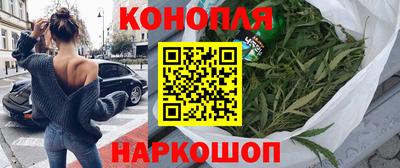 стаф Донской