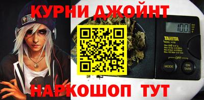 крисы Дубна