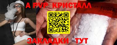 стаф Донской