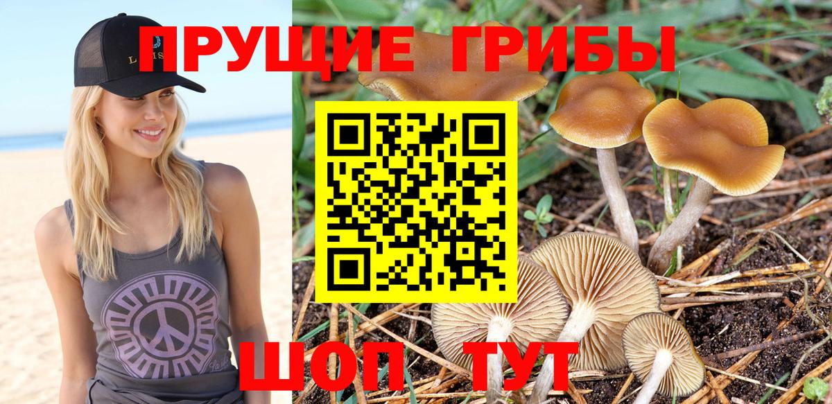 Галлюциногенные грибы MAGIC MUSHROOMS Нижний Новгород