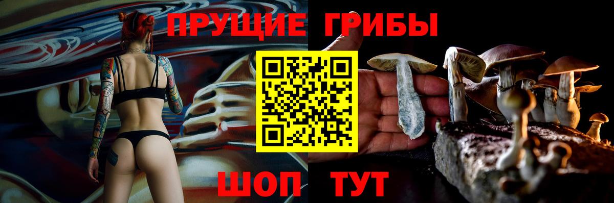 Псилоцибиновые грибы Psilocybine cubensis  Вход с VPN  Нижний Новгород 
